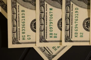 Key Sources Of Income: Fight Purses